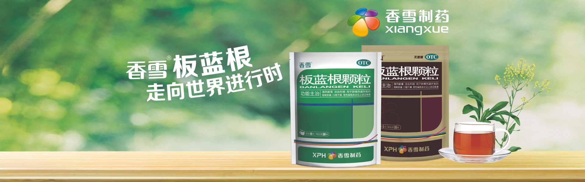 板蓝根